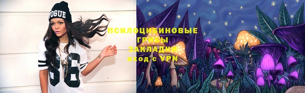 spice Семикаракорск
