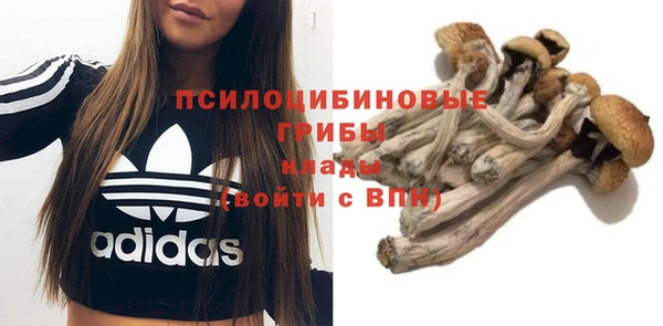 гидропоника Верхний Тагил