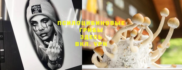 прущая мука Семилуки