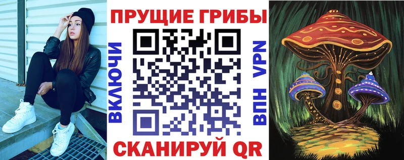 Галлюциногенные грибы прущие грибы  где можно купить   Гаврилов-Ям 